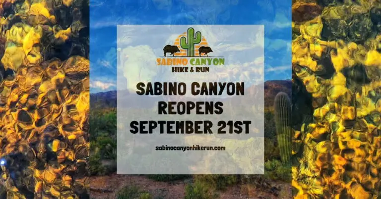 Sabino Canyon Reopens
